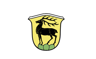 Logo und Link zu Gemeinde Eglisau